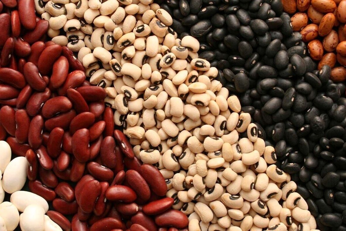 حبوبات